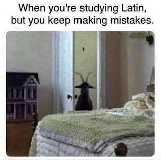 funny meme with goat and Latin, stakes