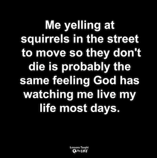 agency, squirrel meme funny